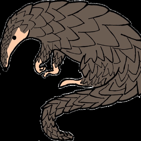 magicpangolin